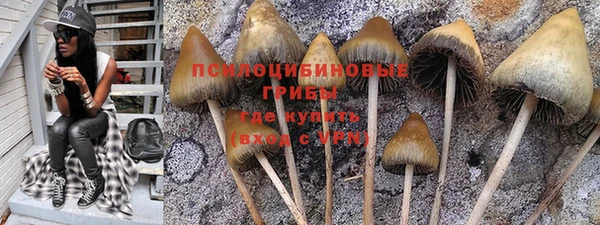 мескалин Бронницы