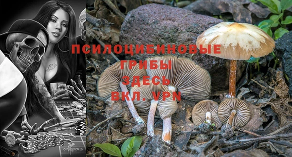 соль курить ск Бородино
