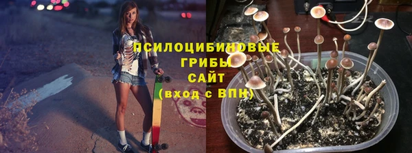 соль курить ск Бородино