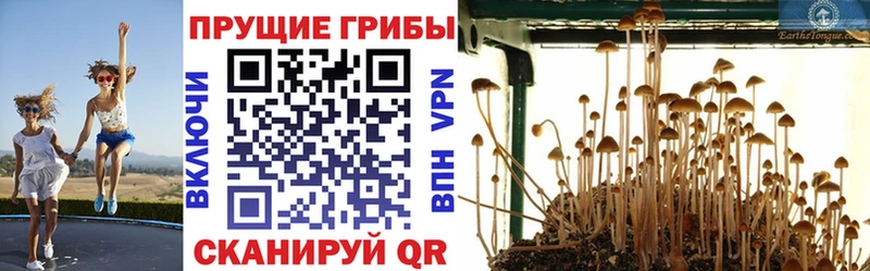 Купить  Меленки  Галлюциногенные грибы MAGIC MUSHROOMS 